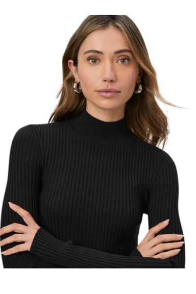 high neck turtleneck ribbed knit long sleeve paige raisa top black basic 