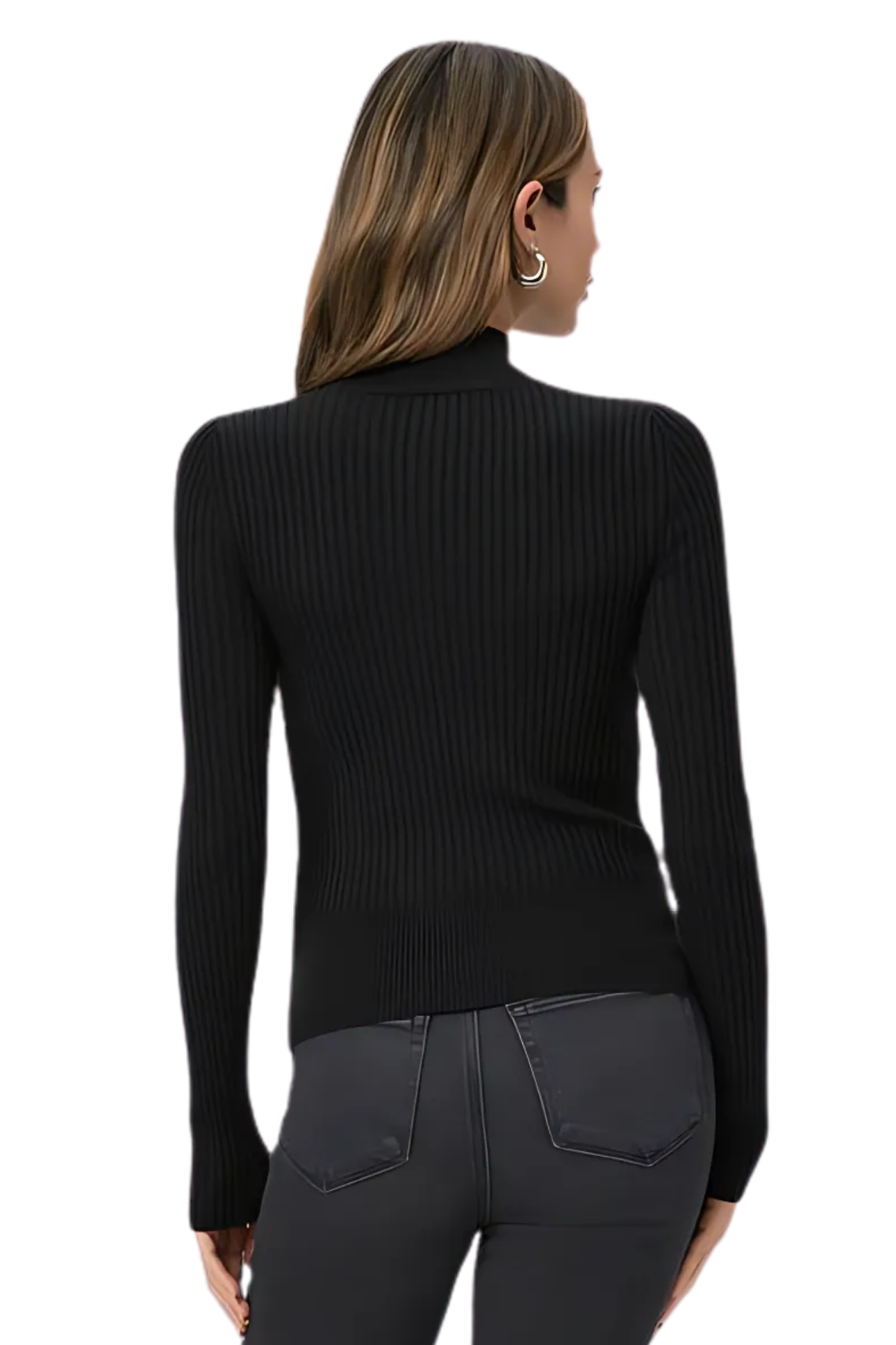 high neck turtleneck ribbed knit long sleeve paige raisa top black basic 